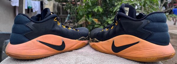 Nike hyper dunk low 2016