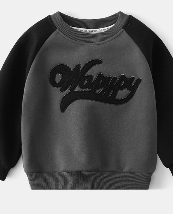 🔥Большая скидка на наши уютные детские кофты с начёсом! ❄️ Идеальный выбор для холодных дней: тёплые, мягкие и стильные. Забота о вашем малыше – по доступной цене!