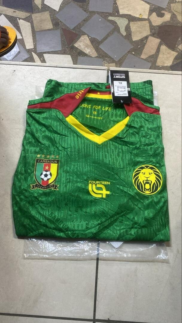 Maillot Cameroun version pro