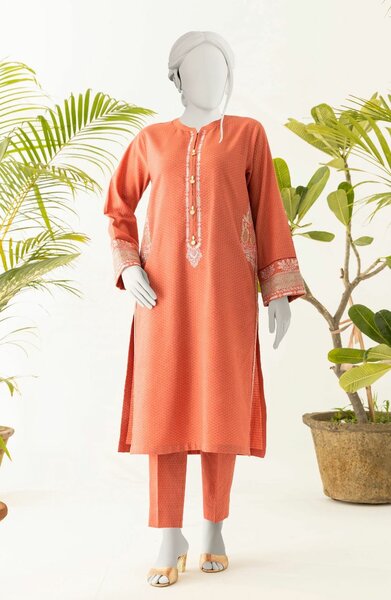 Ladies Stitched suit