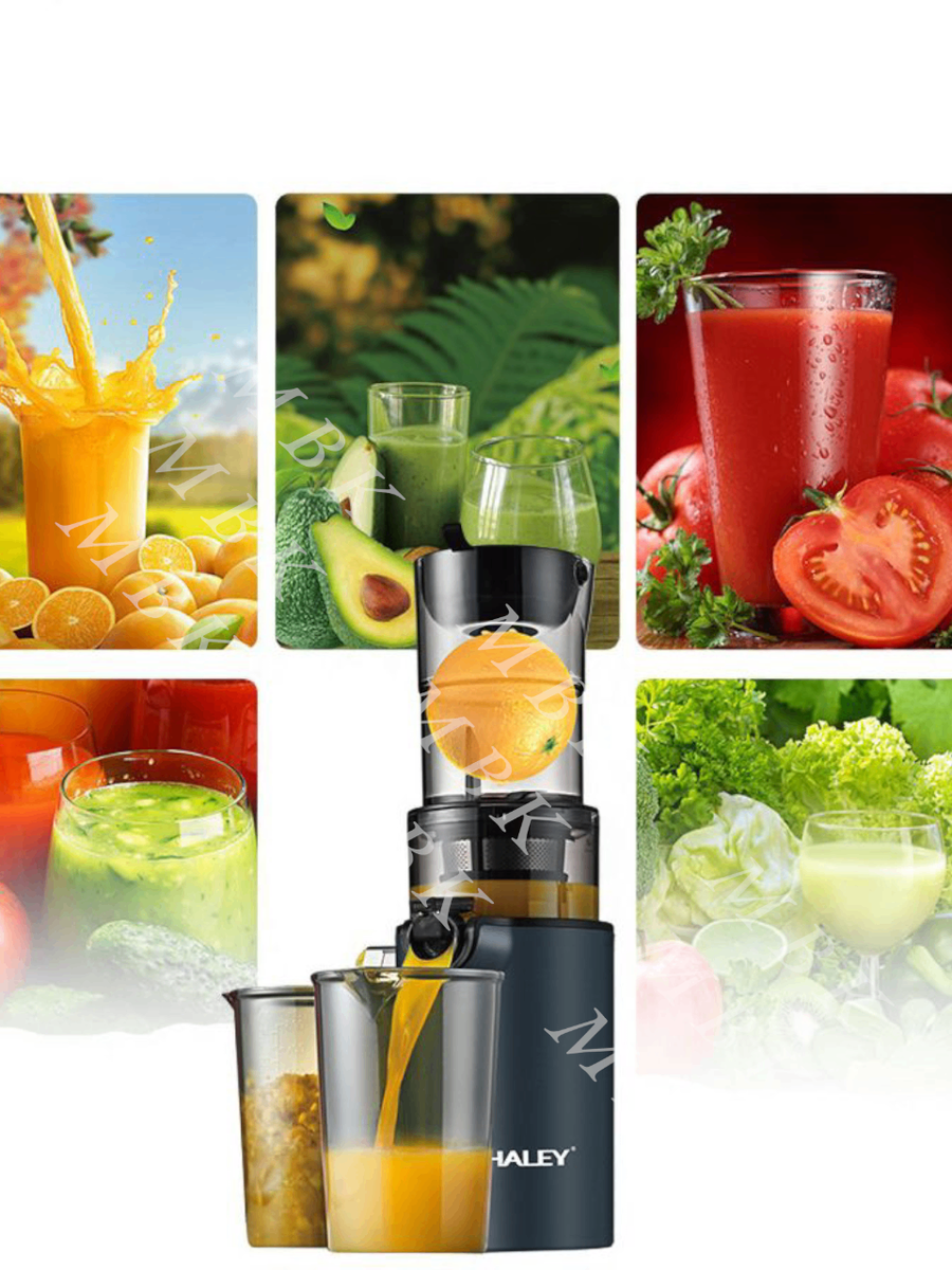Extracteur de Jus Lente Haley
