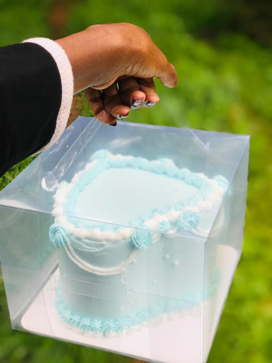Heart shaped Bento cake