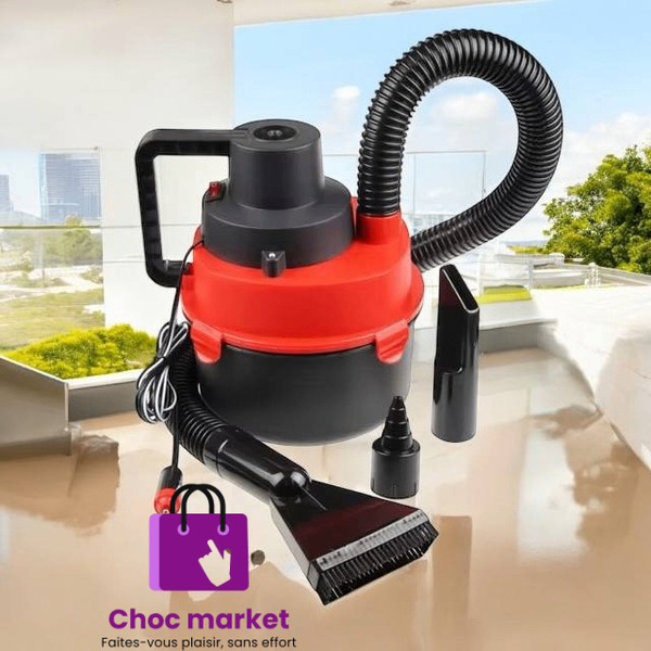 Aspirateur Double usage  Pro