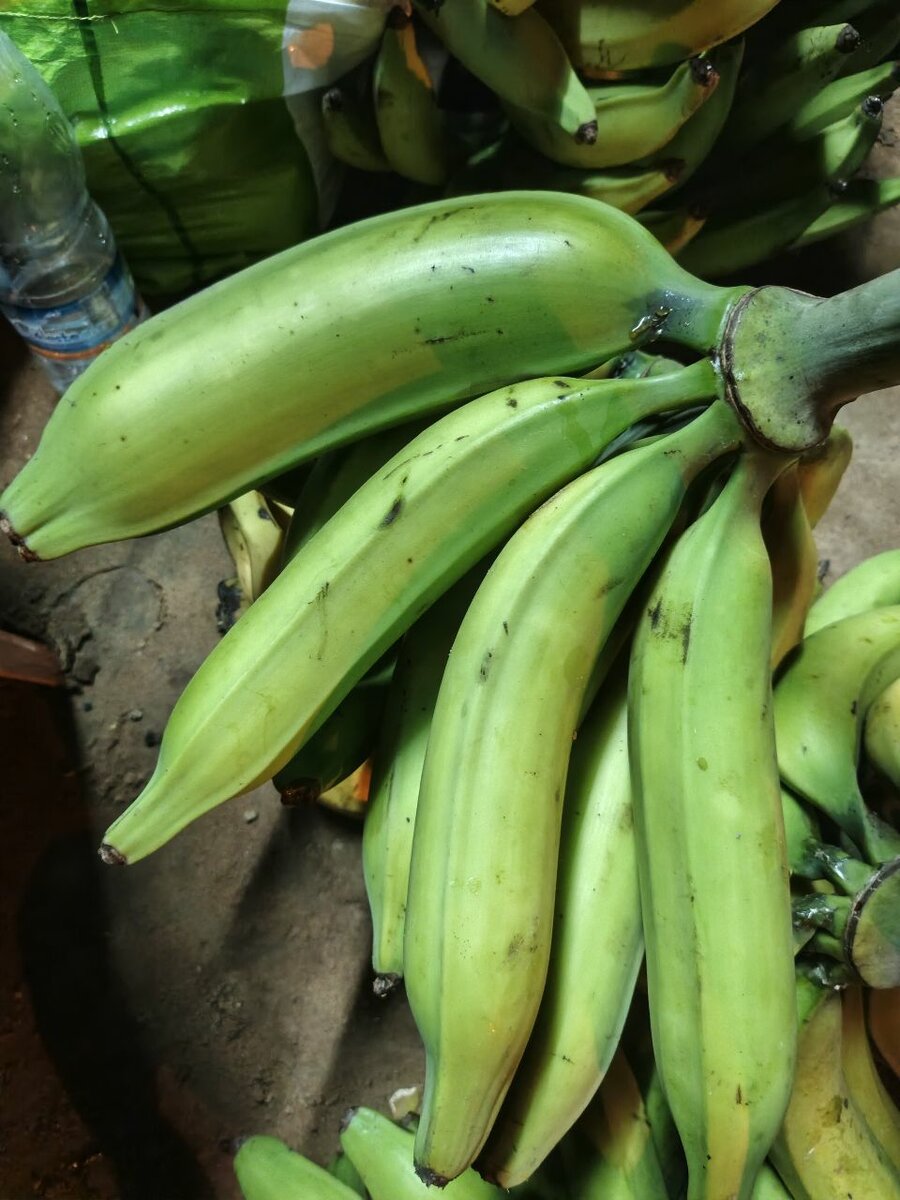 Bananes Plantains Fraîches