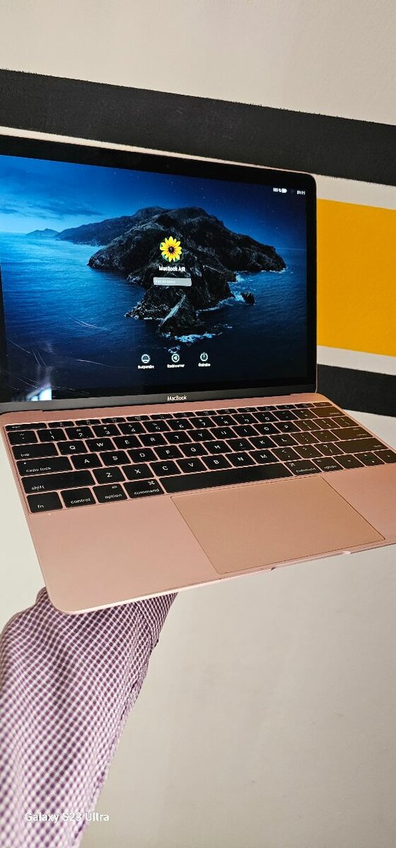Macbook model A1534 2017