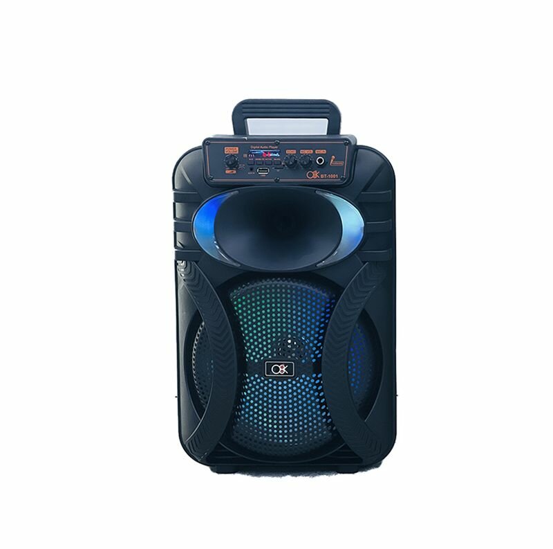 Haut-parleur Bluetooth 10'' portable