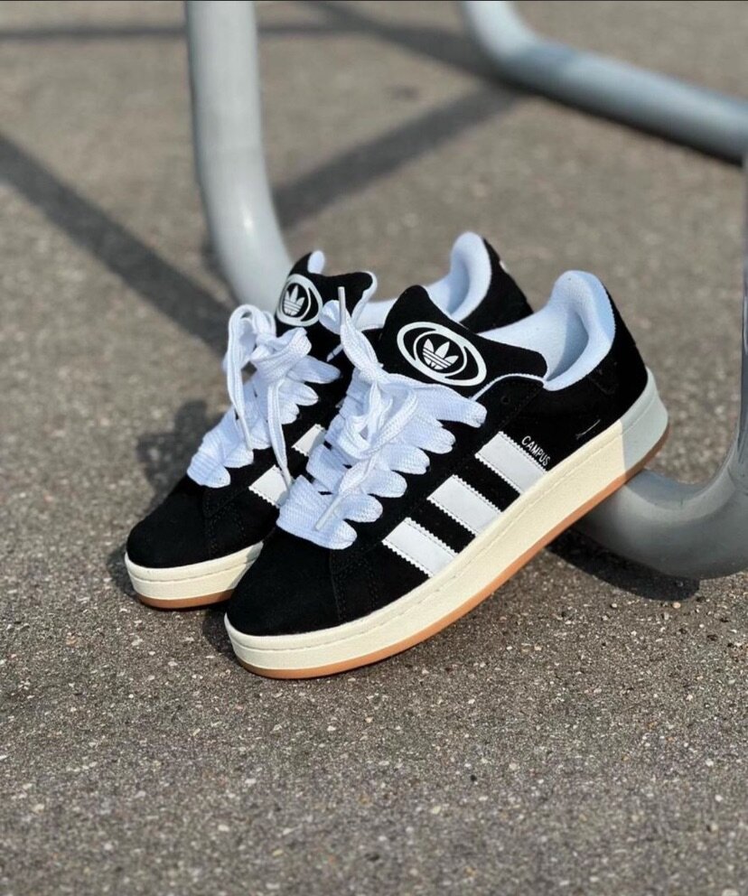 Adidas campus original