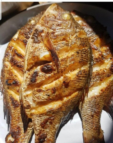 POISSON CARPE FRIT