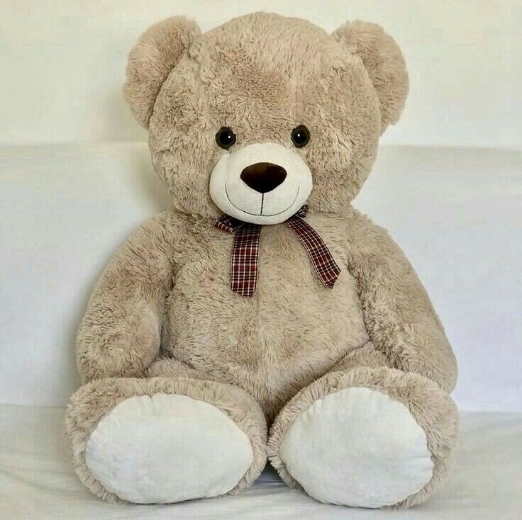 Teddy bear
