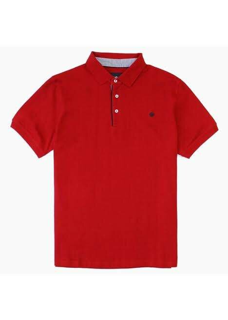 Men polo t shirt