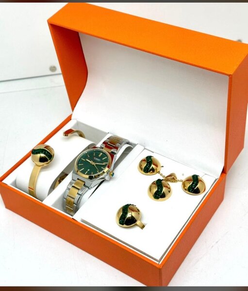 Coffret Montre et Bijoux Élégant