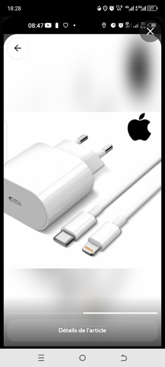 Chargeur iPhone original