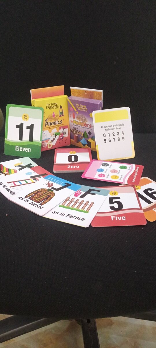 Young Explorer Flash Cards