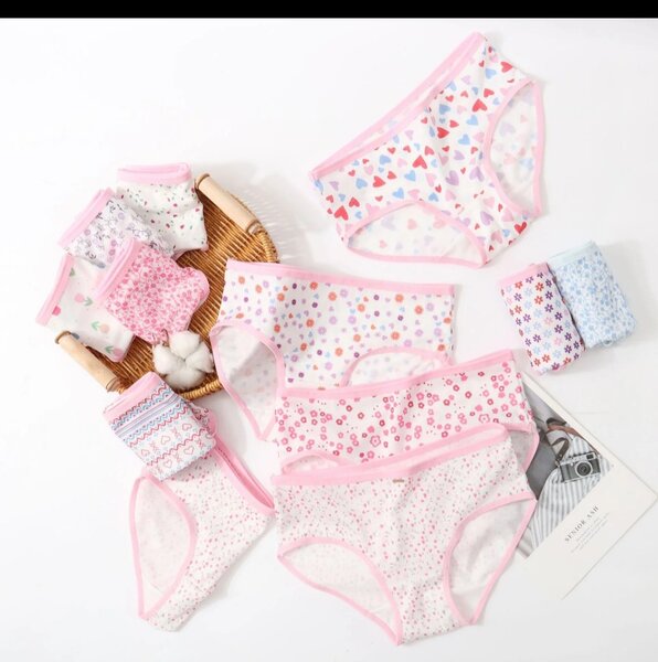 Culottes féminines en dentelle