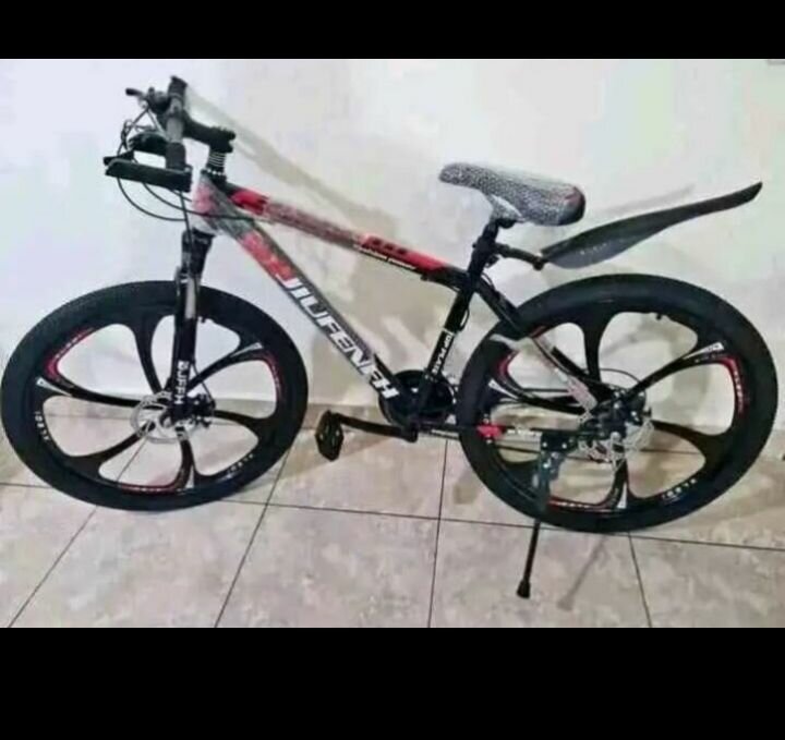 Vélo de montagne robuste