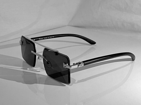 Lion sun glasses