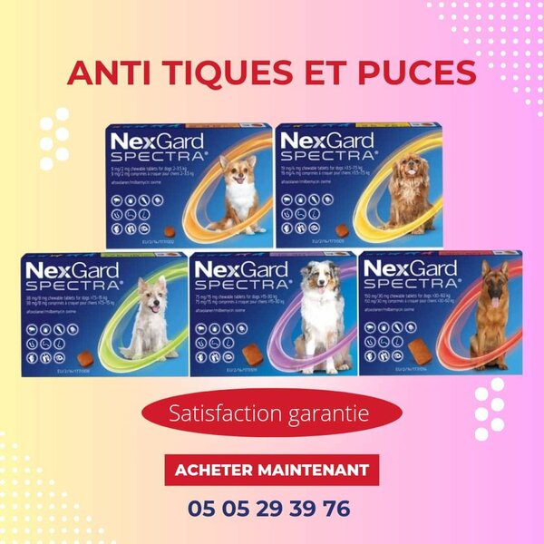 Nexgard en détail