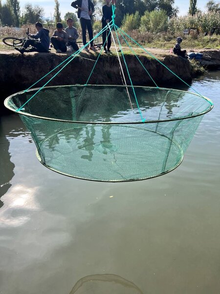 Сетка для ловли рыб