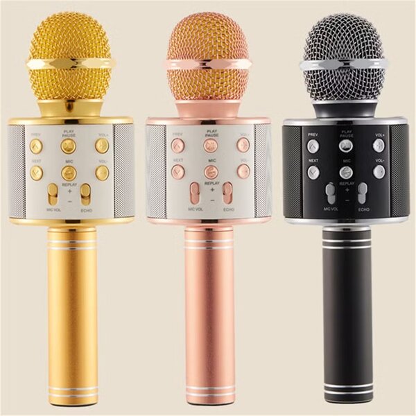Karaoke micro