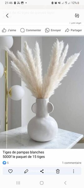 Pampas artificielles 10 tiges à 4000