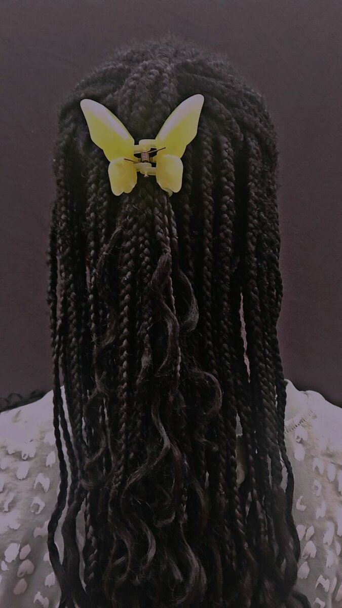 Clip Pince Papillon Colorée