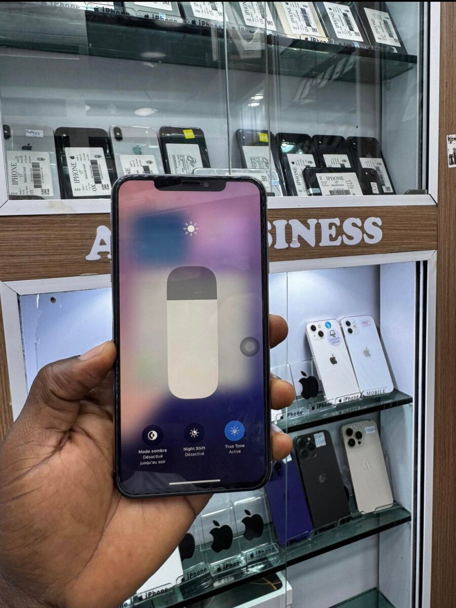 iPhone 256GB - Puissant et Élégant