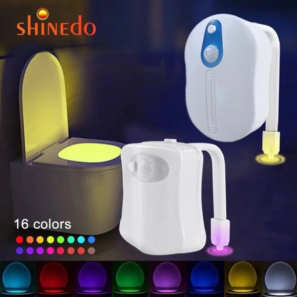Motion sensor water closet light