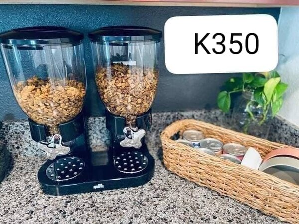 Semi-automatic nut storage container