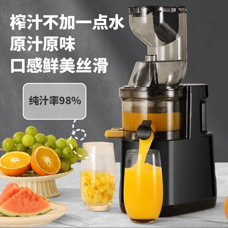 Fruits and vegetable juicer