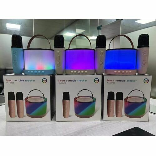 Ensemble Haut-parleur Portable et Microphones