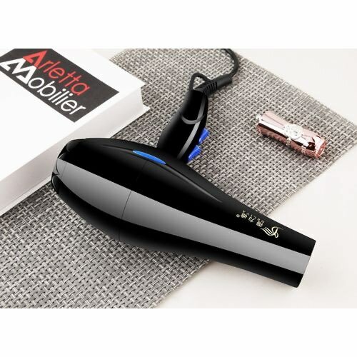 2200W Professional Styling Tool Hand Hair Blow Dryer Hot Col