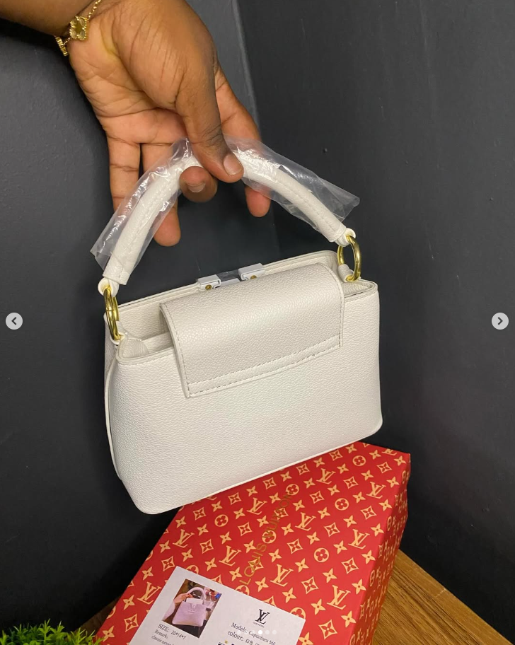 LV bag