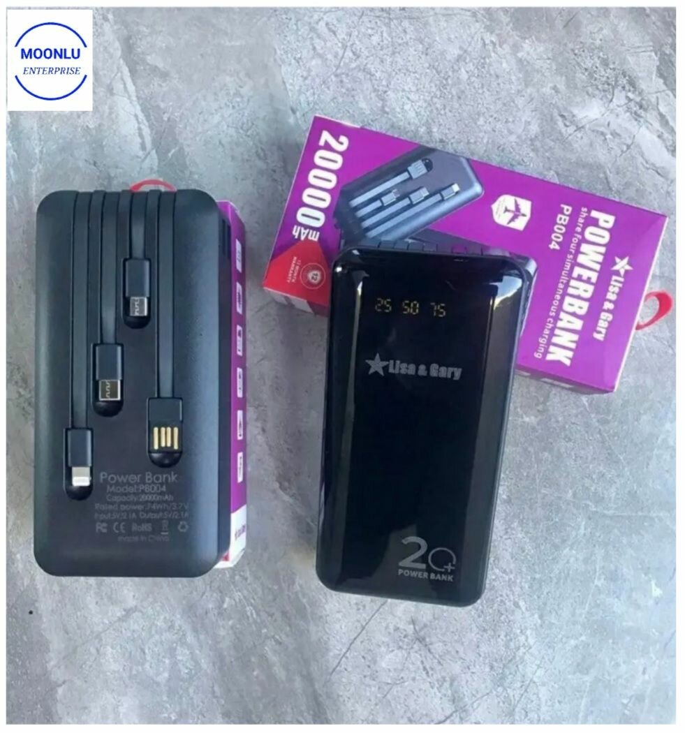 Lisa and gary power bank