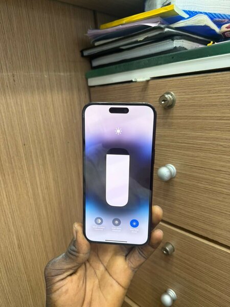 14 pro max 256 GB