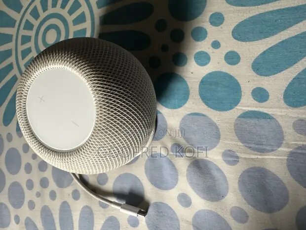 Original Apple Homepod