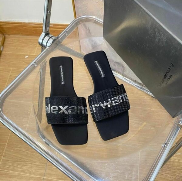 Alexander wang slippers