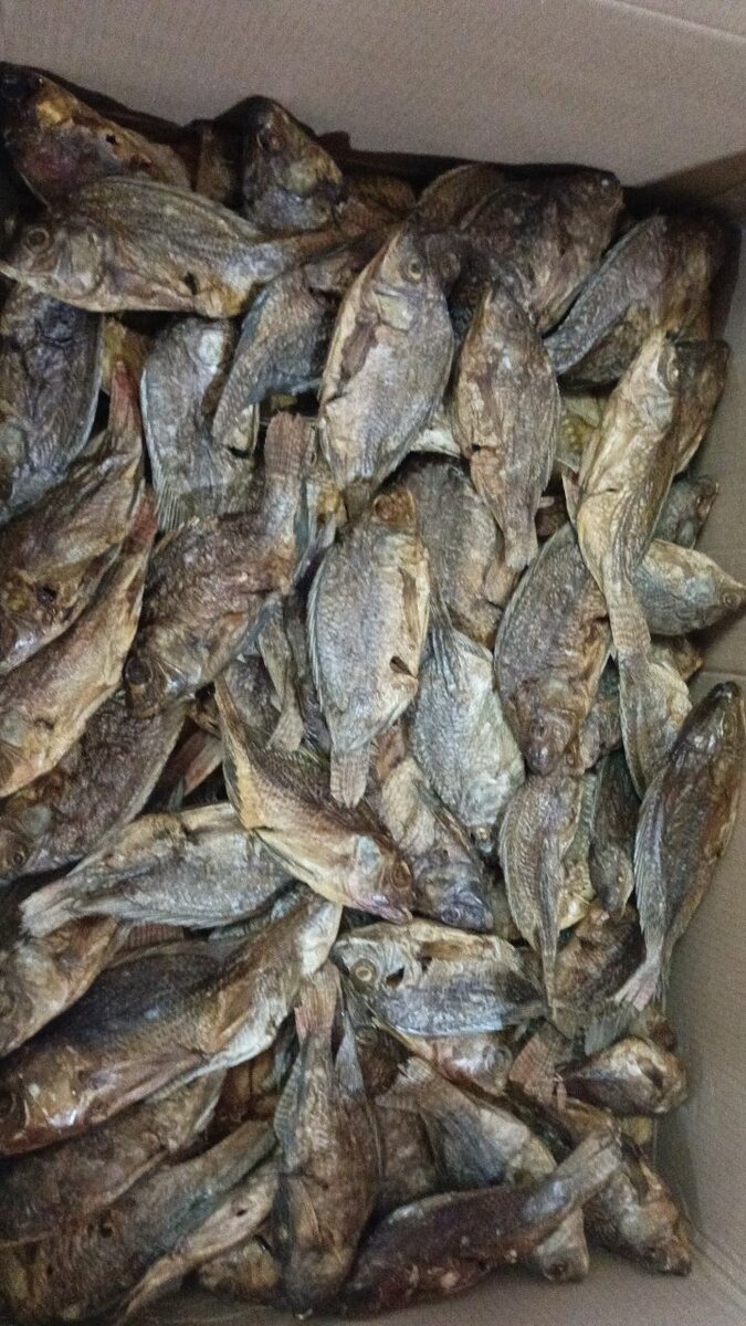Dry Closed bream's