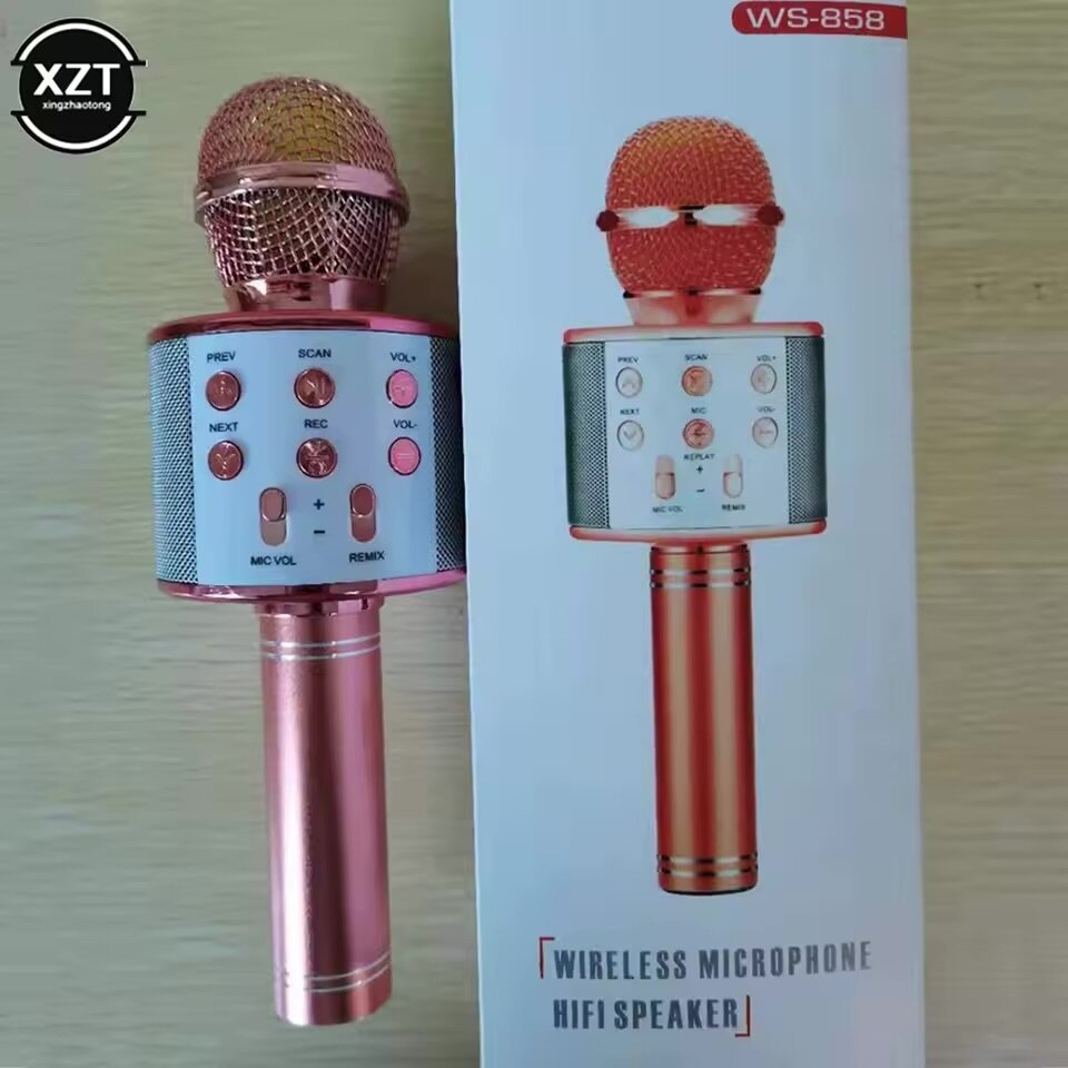 Microphone karaoké sans fil WS-858