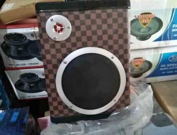 Enceinte Portable Puissante 1600W