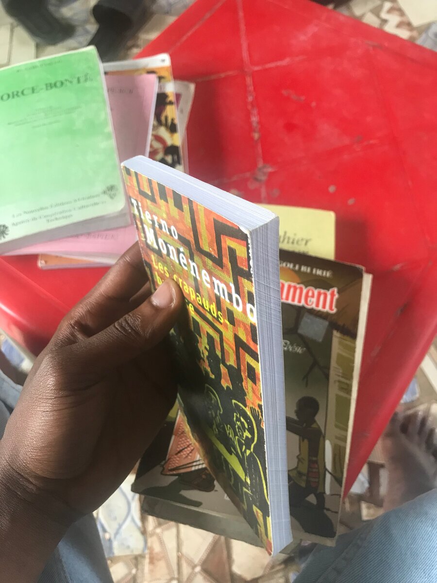 Les Crapauds-Brousse Roman