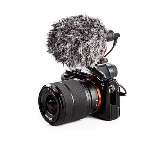 Microphone d'enregistrement