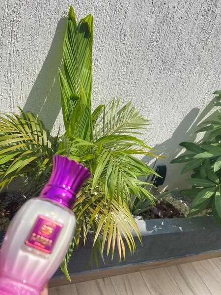 Parfum féminin Lamsa 80 ml