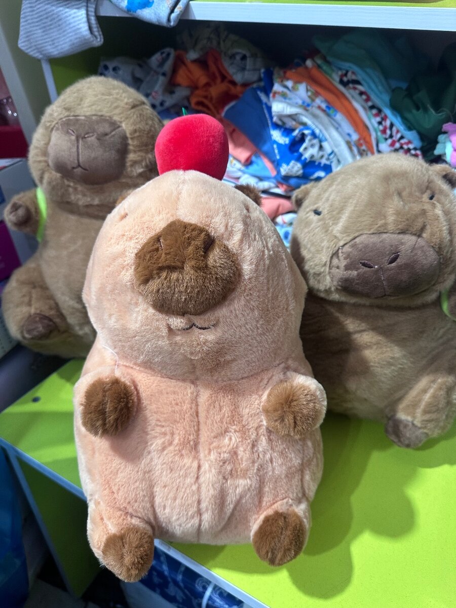 Мягкая капибара