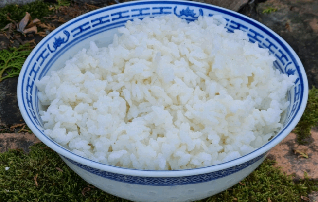 Poulet Sauce tomate avec Riz
