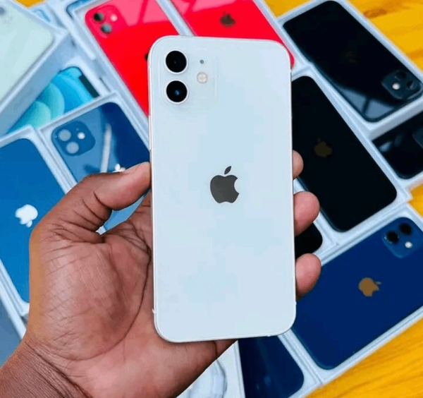 iPhone 12 Blanc Neuf