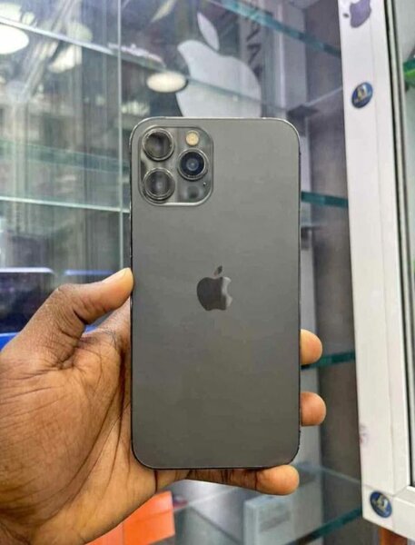 iPhone 12 Pro Max 256GB Gris Sidéral