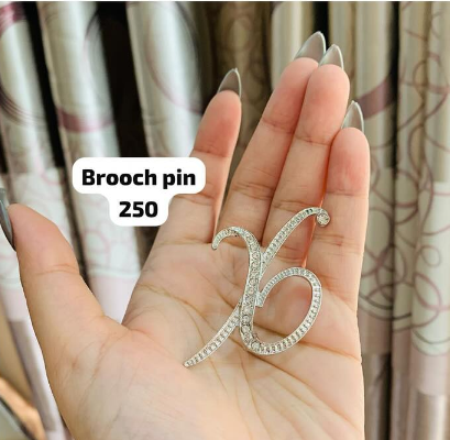 Brooch pin