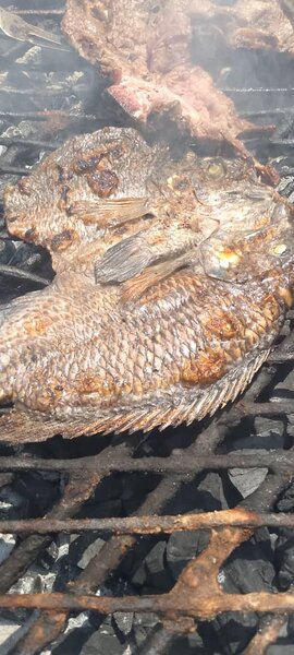 Roasted and fried fish