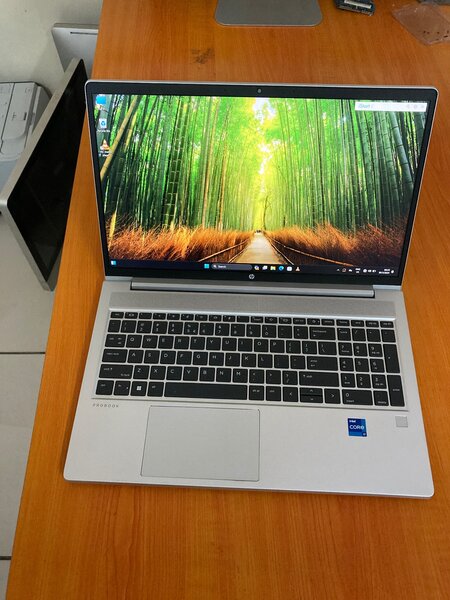 Hp probook 450 G10