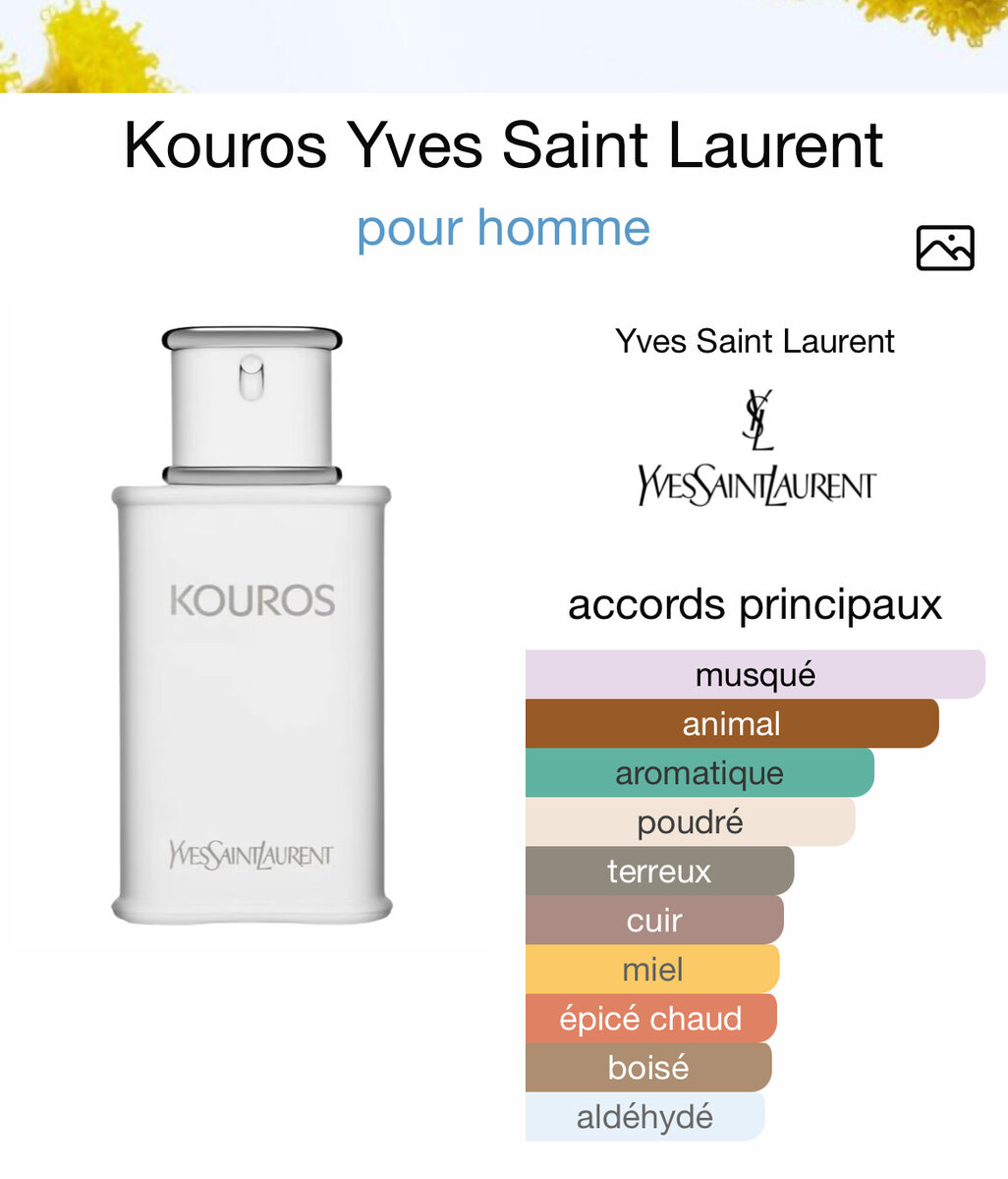 Yves Saint Laurent Kouros Homme